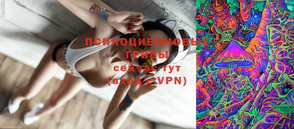 дурь Протвино