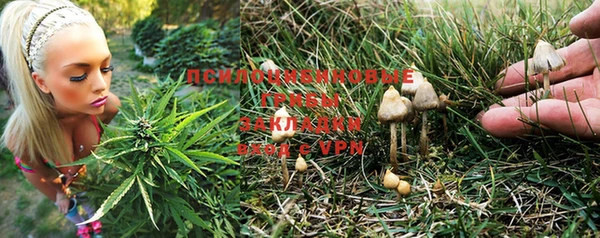 бошки Рославль