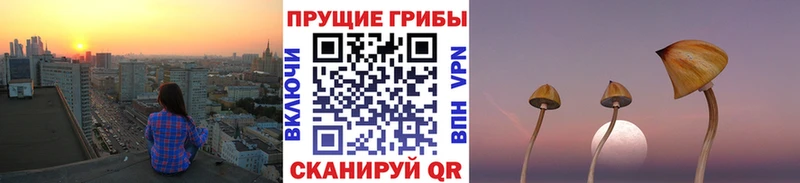 Галлюциногенные грибы Cubensis  Ртищево 