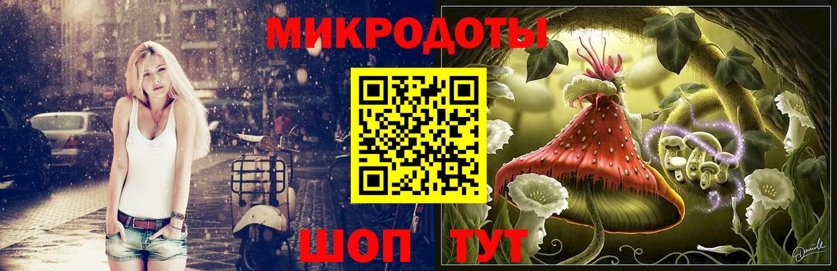 Ртищево  Галлюциногенные грибы Psilocybine cubensis  Вход с VPN 