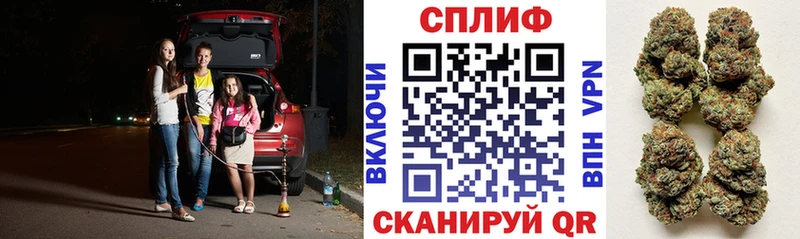 Каннабис тримм  купить закладку  Ртищево 